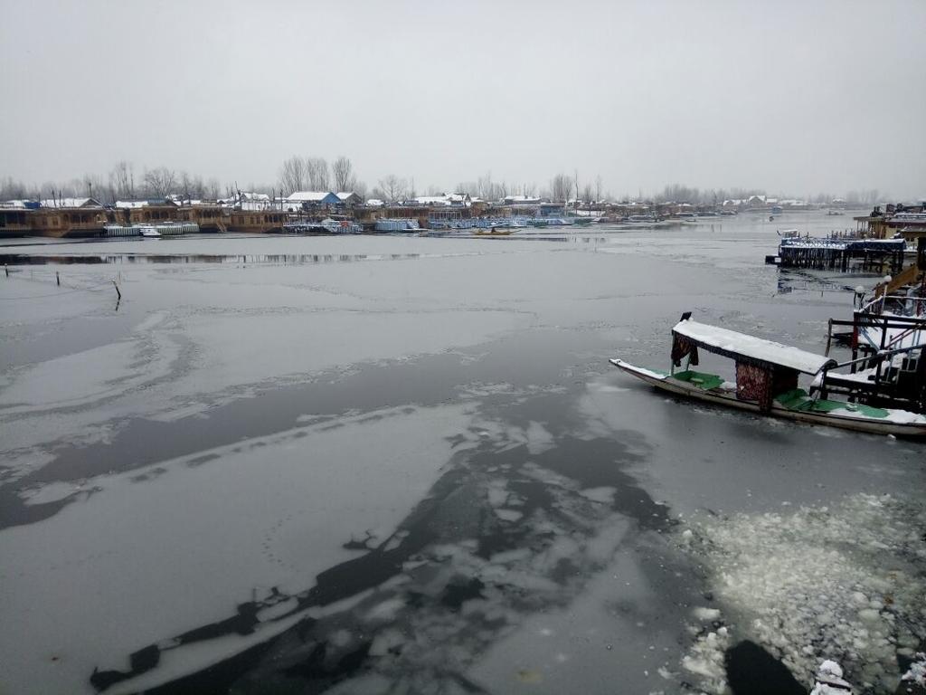 Young Shahzada Group Of Houseboats Srīnagar Zewnętrze zdjęcie